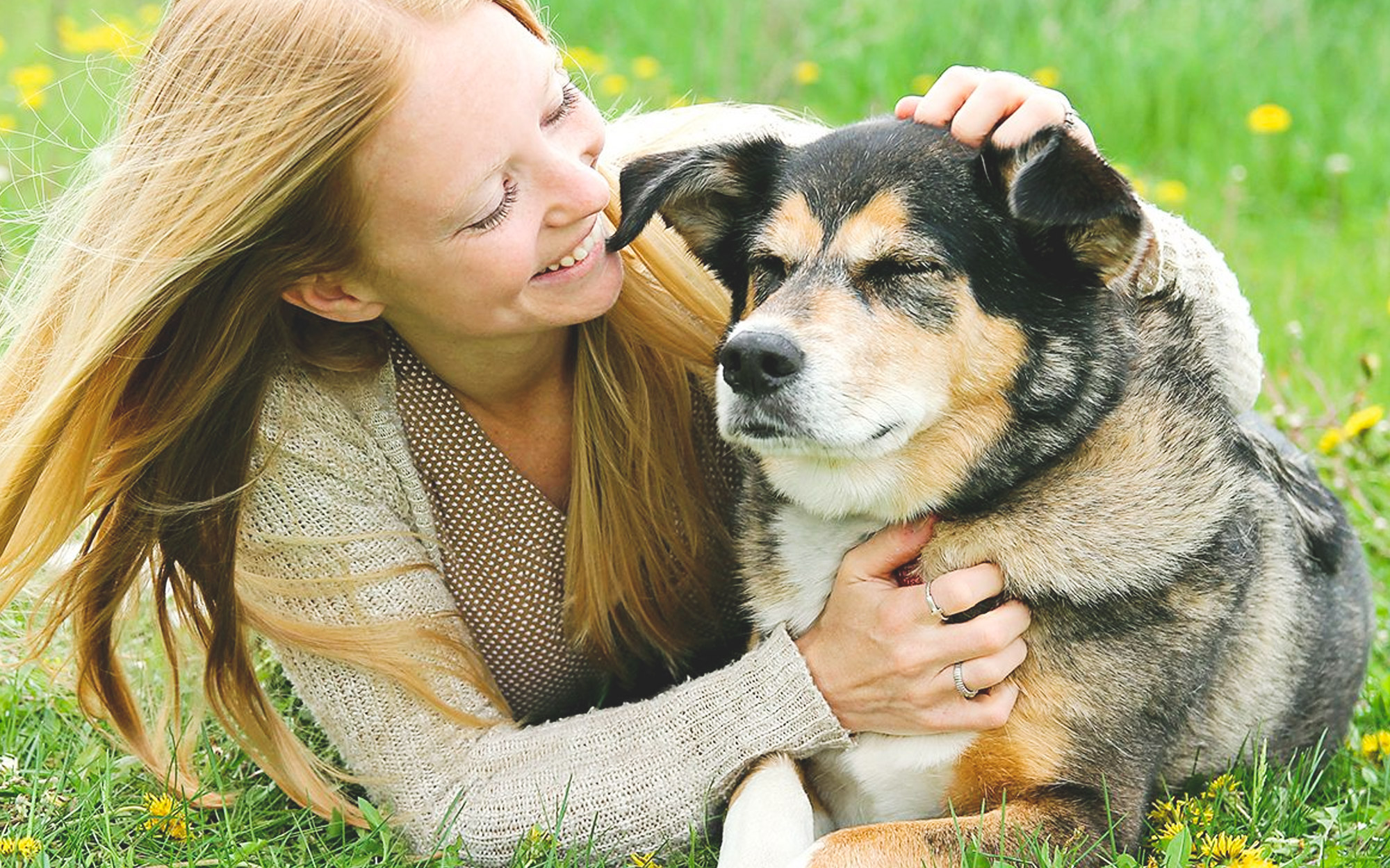 Wisest Ways to Help Your Dog Live Longer